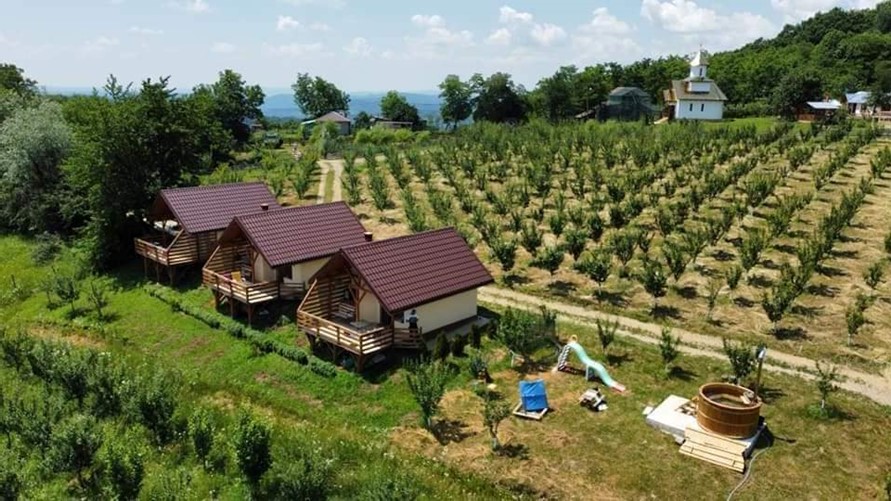 Casa david- casute